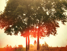 电话轰炸在线免费