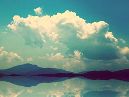 一键下单即得的短信接码测评