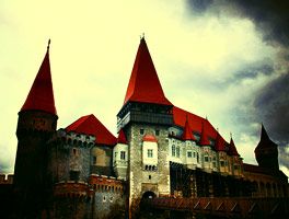 在线手机号平台